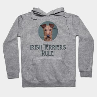 Irish Terriers Rule! Hoodie